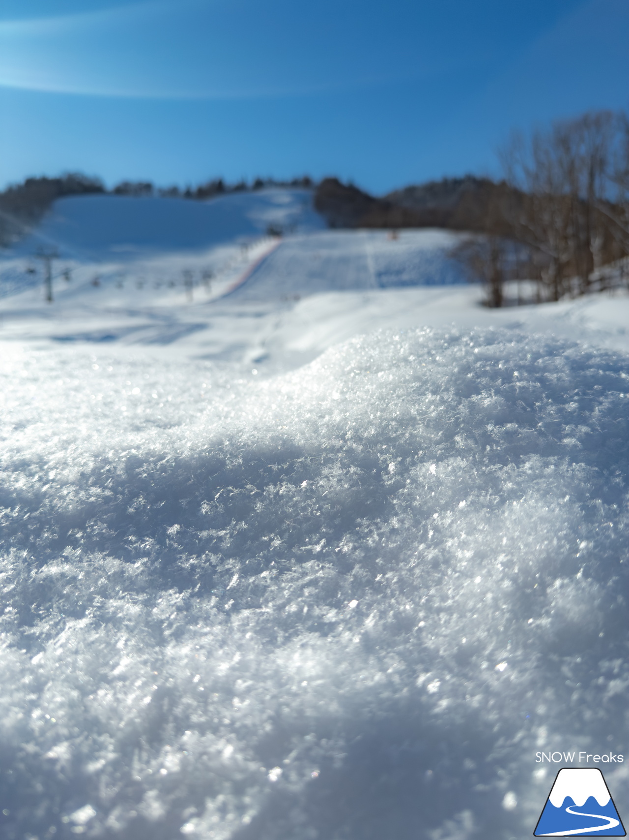 桂沢国設スキー場｜今冬最上級のふわっふわのパウダースノーが舞い降りた